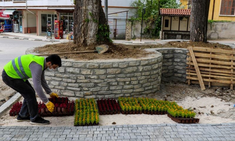 Safranbolu Belediyesi’nin yetiştirdiği çiçekler toprakla buluştu
