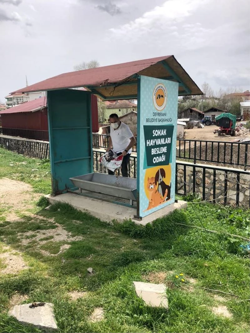 Vatandaşlar, evden çıkamayınca sokak hayvanlarını belediye ekipleri doyurdu
