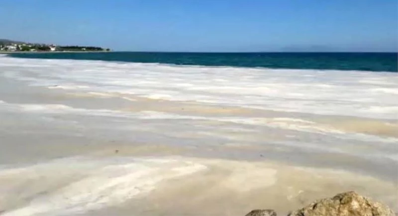 Deniz salyaları mavi bayraklı sahili beyaza çevirdi
