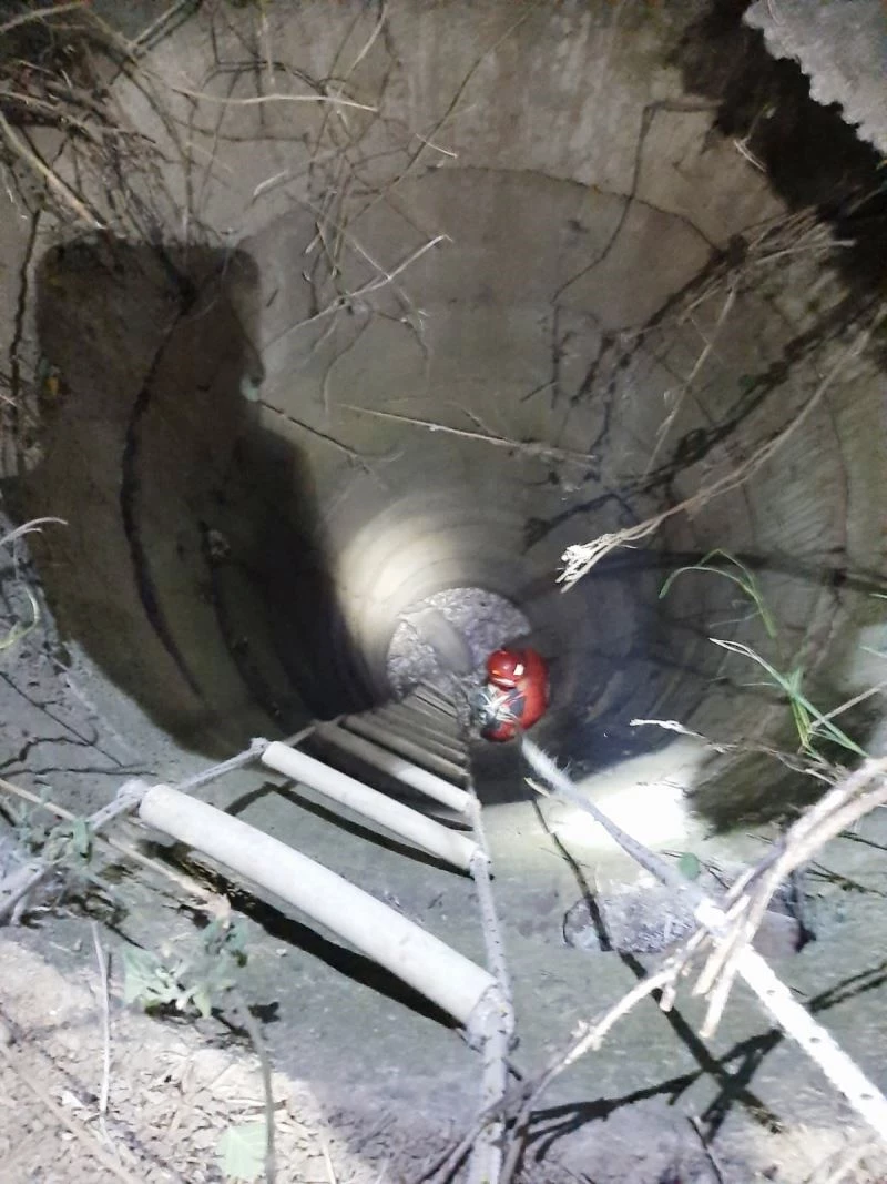 Balıkesir’de kuyuya düşen kuzuyu itfaiye kurtardı
