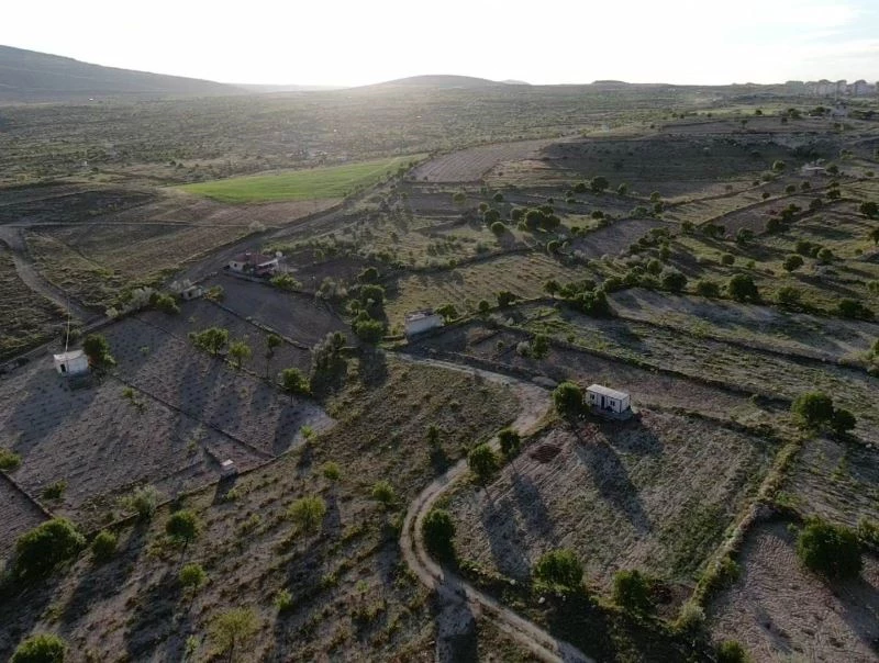 Üzümüyle meşhur İncesu’da bağlar yeşerdi
