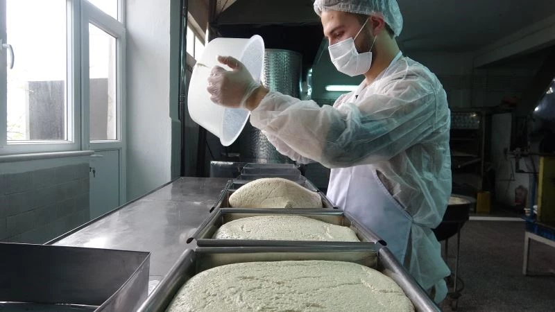 (Özel) Bayramiç tahin helvası coğrafi işaret için gün sayıyor
