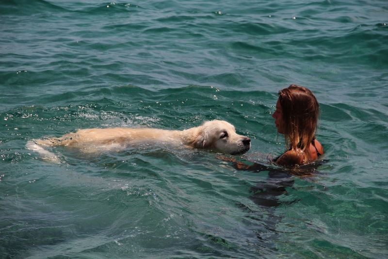 (Özel) Rus turist, 9 bin kilometrelik yoldan getirdiği köpeğiyle Antalya’da deniz keyfi yaptı
