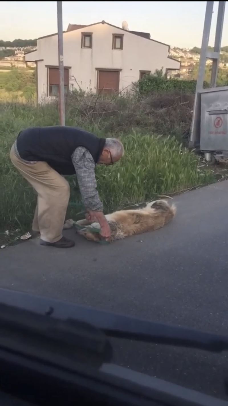 (Özel) Sarıyer’de bağladığı köpeği sürükleyerek çöpe atan şahıs yakalandı
