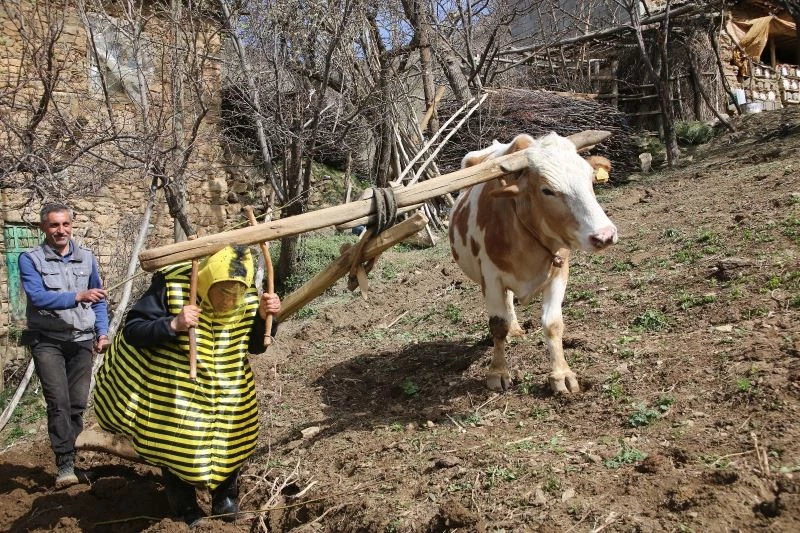 Türkücü Aydın Aydın arı kostümü giyerek hayvanlarla helalleşti
