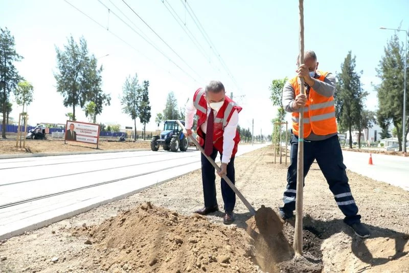 Tramvay hattı turunç çiçeği kokacak
