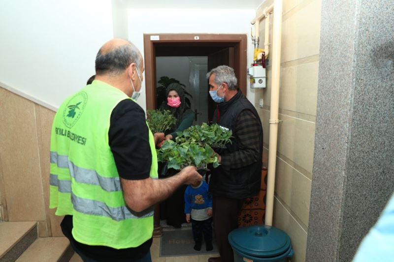 İpekyolu Belediyesi balkonları bahçeye çeviriyor
