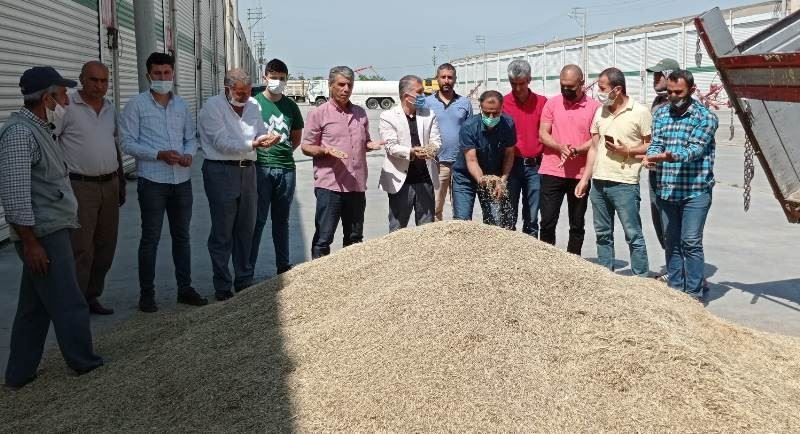 Mardin’de sezonun ilk arpası 2 lira 5 kuruştan alıcı buldu
