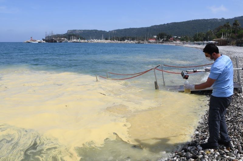 Deniz yüzeyindeki sarı tabakanın nedeni belli oldu
