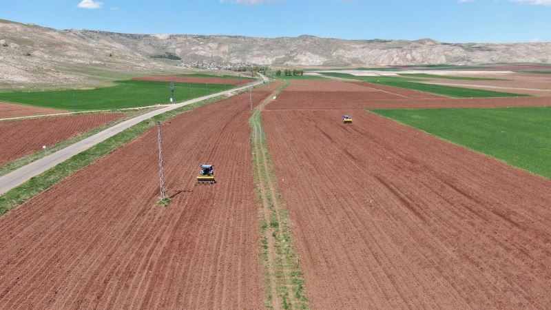 Patates üretiminde ilk sıralarda olan Sivas’ta tohumlar toprakla buluştu
