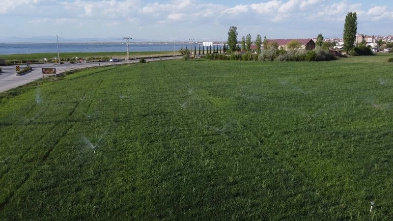 Yağışlar gelmeyince göl havzasında üreticiler tarlalarda sulama yapmaya başladı
