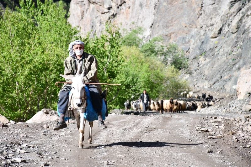 30 gün yol yürüyen göçerler yaylaya ulaştı
