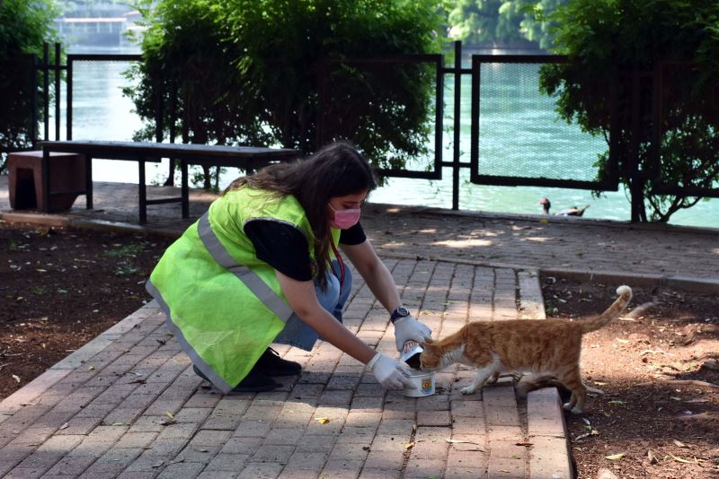 Tarsus’ta sokak hayvanlarına destek sürüyor
