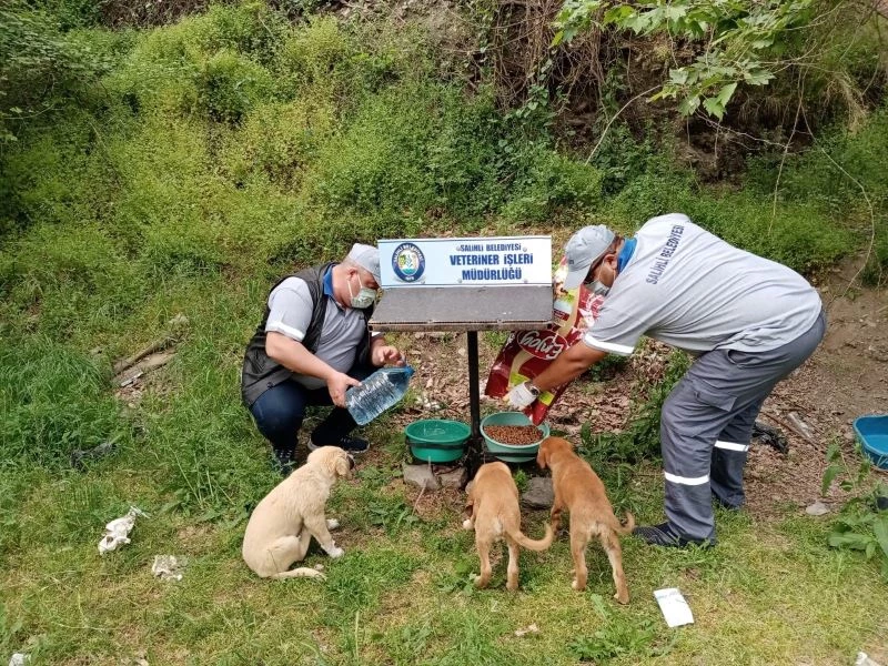 Salihli’de sokak hayvanları unutulmuyor
