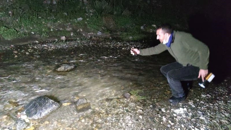 (Özel) İnci kefalinin muhteşem gece yolculuğu
