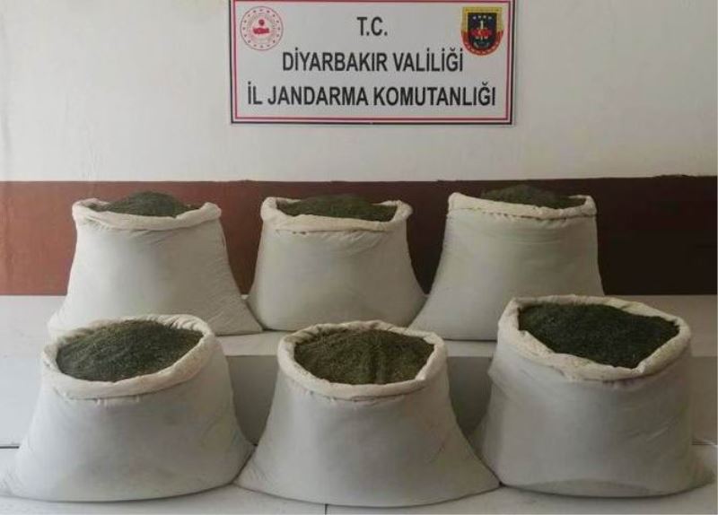 Diyarbakır’da çalıların arasında 201 kilogram esrar ele geçirildi
