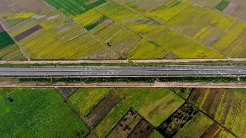 (Özel) Bursa’da hasat öncesi tarlalar halı desenlerini aratmadı
