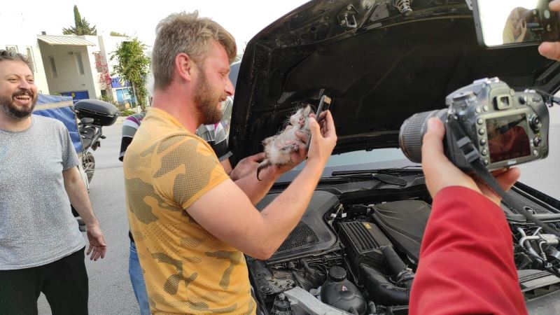 Otomobilin motorundan çıkardığı kediyi sahiplendi
