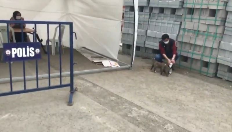 Ağrı’da polis yavru köpekleri sütle besledi
