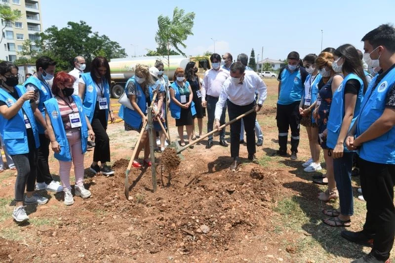 Yenişehir, jakaranda koruluğuyla renklenecek
