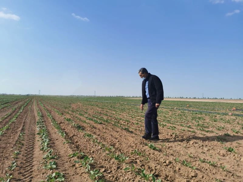 Konya Şeker’den üreticiye 27 milyon 937 bin TL’lik motorin avansı
