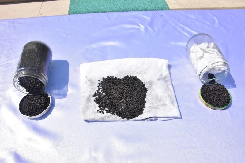 2 bin yıllık ata tohumlarını yurt dışına satmak isterken suçüstü yakalandı
