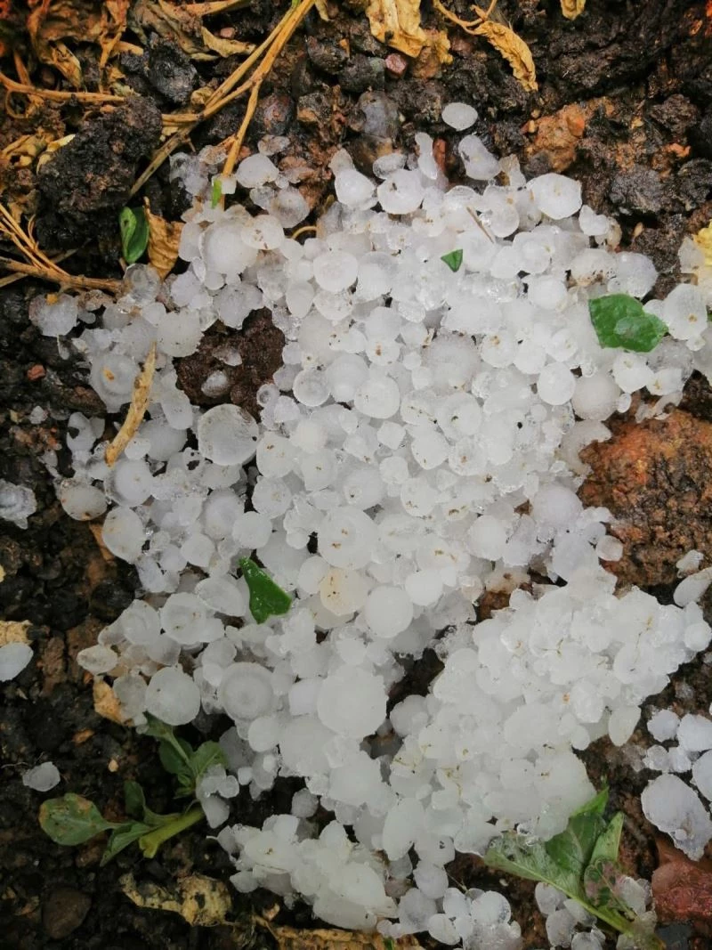 Mersin’de dolu yağışı sebze ve meyveyi vurdu
