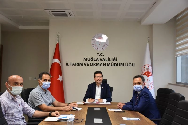 Sahipli kedi ve köpeklere pasaport
