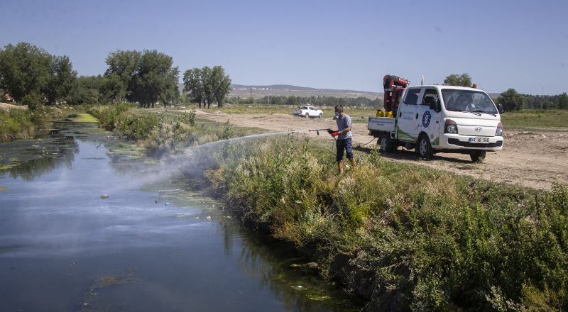 Kütahya’da sinek ve haşereyle mücadele
