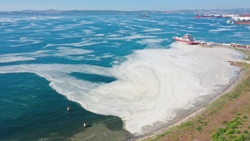 Yalova kıyılarında müsilaj görülmeye devam ediyor

