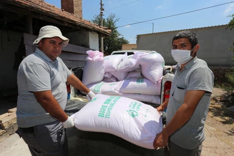 Tarlaları yanan  çiftçilere tohumluk buğdayları dağıtıldı
