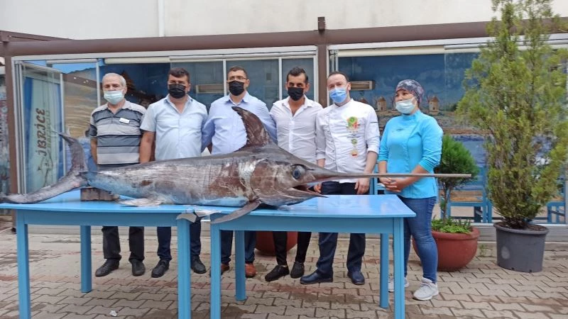 Saros Körfezi’nde yakalanan dev kılıçbalığı ilgi odağı oldu
