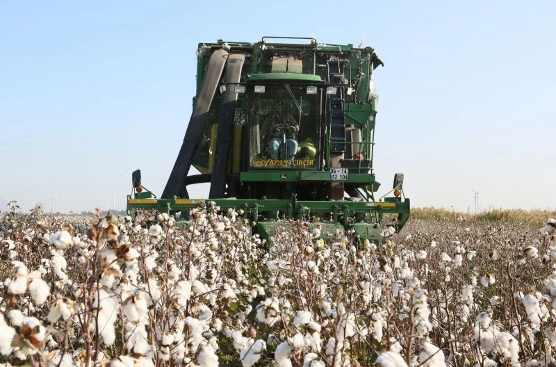 Pamuk primleri için tarih belli oldu
