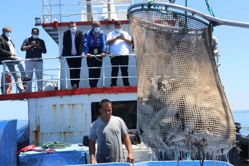 Samsun’da ‘Türk somonu’ hasadı
