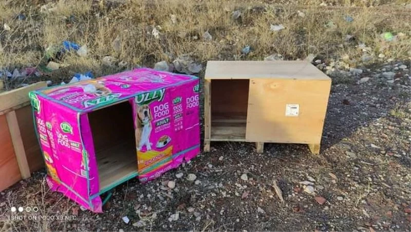 Bozuk para kasaları sokaktaki canlara yuva olmaya devam ediyor
