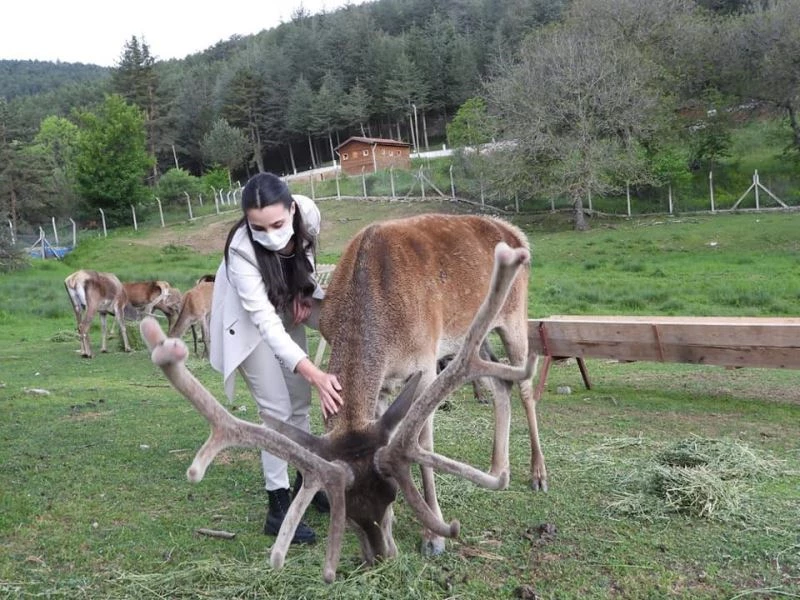 Alpu’dan Kızıl Geyik Üretim İstasyonuna ziyaret
