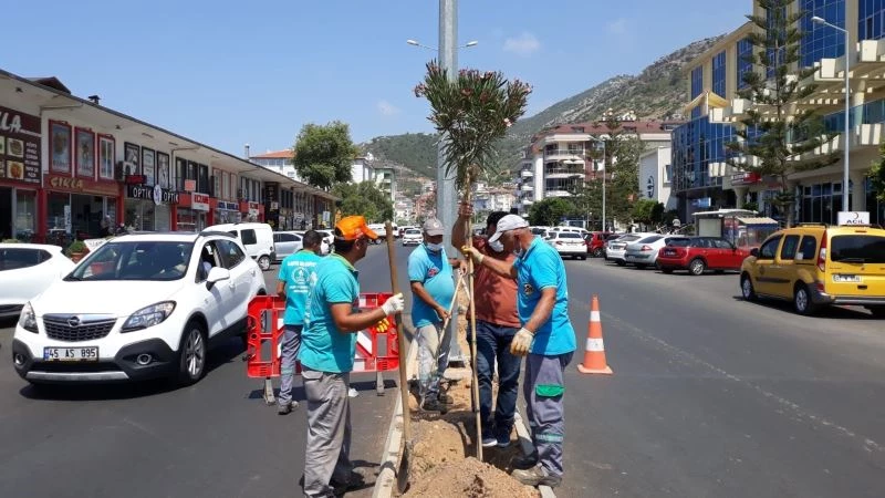 Yeni Prestij Caddesi’ne Zakkum ekildi
