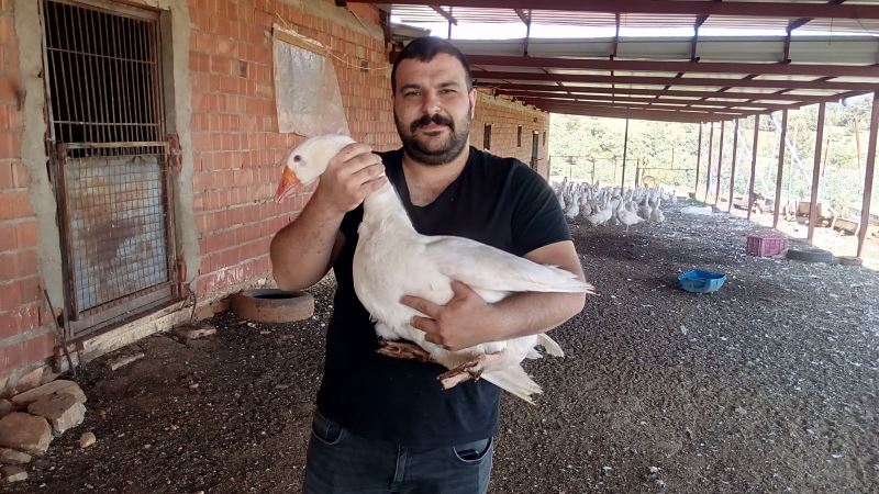 Huzuru ve para kazanmanın yolunu ’Mast kazı’ üretiminde buldu
