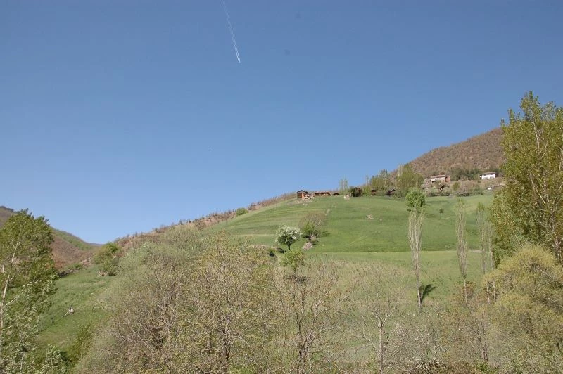 Hayvan otlatma meselesinden komşular birbirine girdi: 2 yaralı
