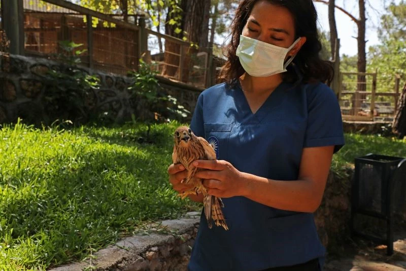 Mart ayından bu yana 120 hayvanın tedavisi yapıldı
