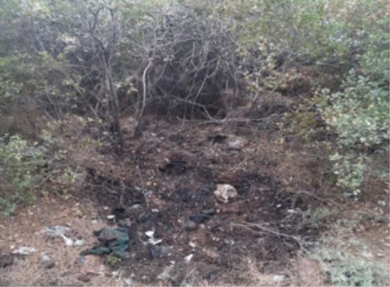 İzmir’de orman yangını çıkarmak isteyen şüpheli, PKK/KCK üyesi çıktı
