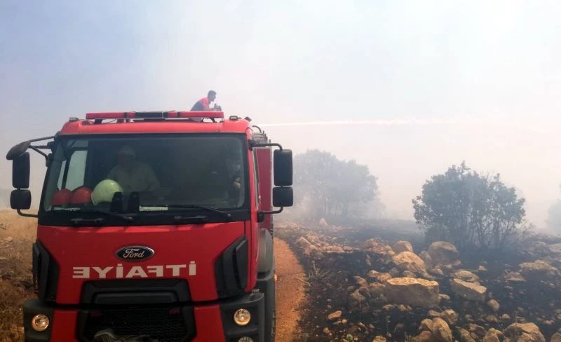 Ömerli’de ağaçlık alanda yangın çıktı, 200 dönümlük alan küle döndü
