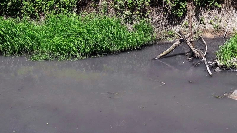 8 mahallenin çevresinden geçen dere, kirliliği ile endişelendiriyor
