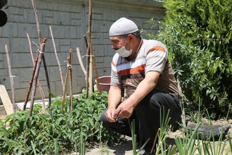 Ereğli Belediyesi tarafından dağıtılan fideler mahsullerini başladı
