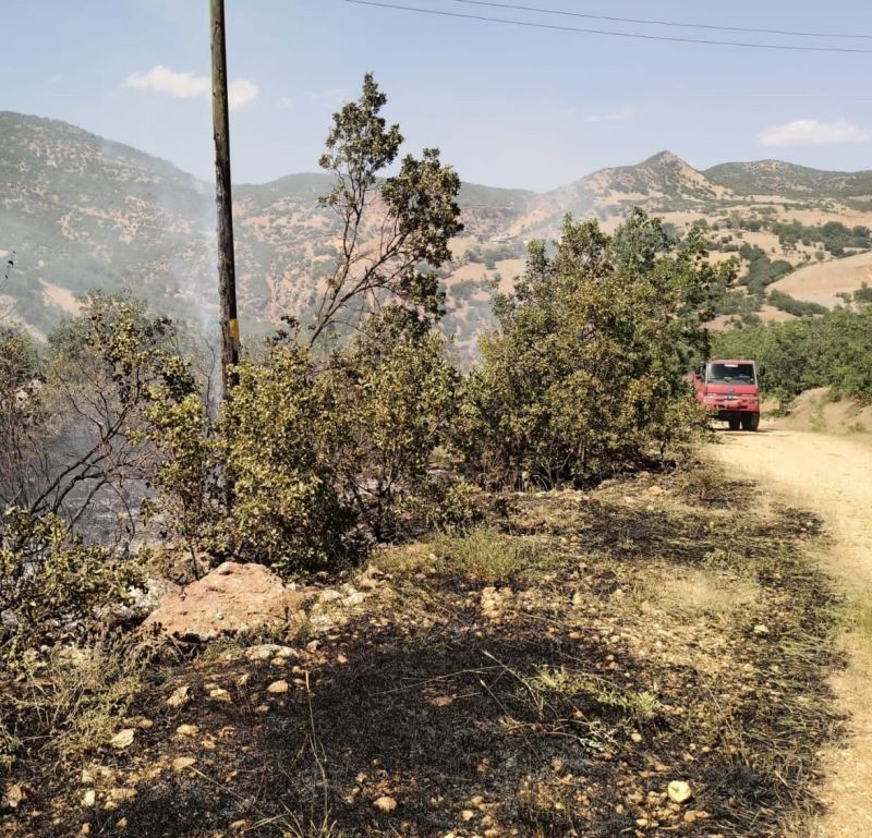Tunceli’de ormanlık alanlardaki yangınlar söndürüldü
