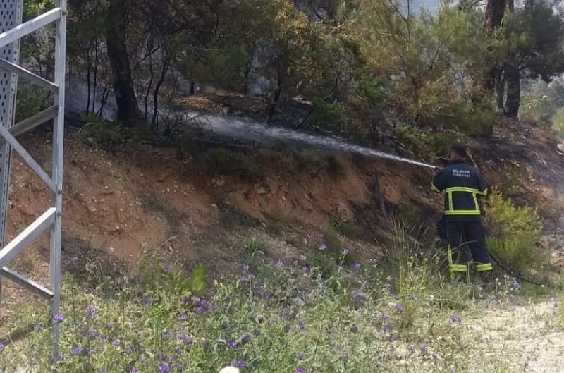 Elektrik trafosundan çıkan yangın kısa sürede söndürüldü
