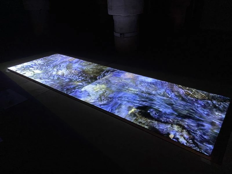 Dijital Sanat sergisi “Dalınç” Binbirdirek Sarnıcı’nda açıldı
