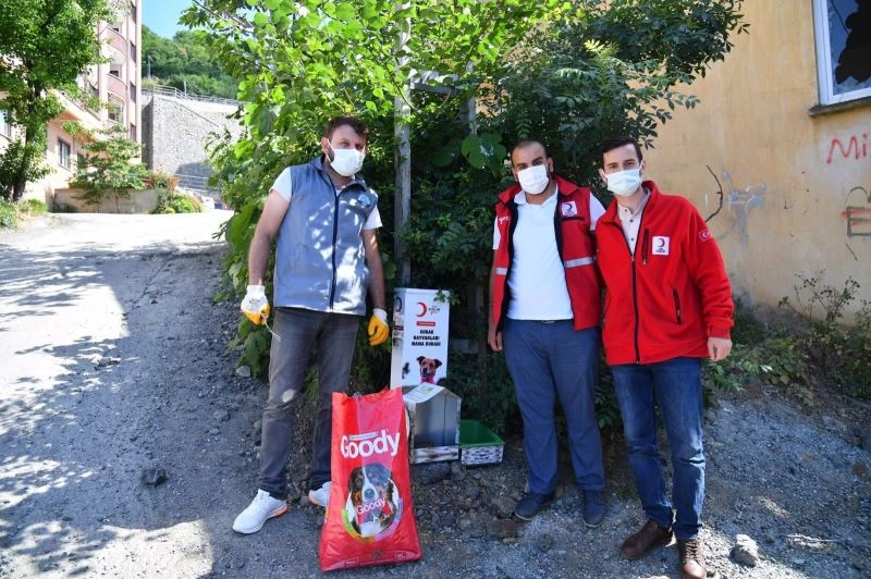 Başkan Genç’ten “Sokak hayvanlarını unutmayın” uyarısı
