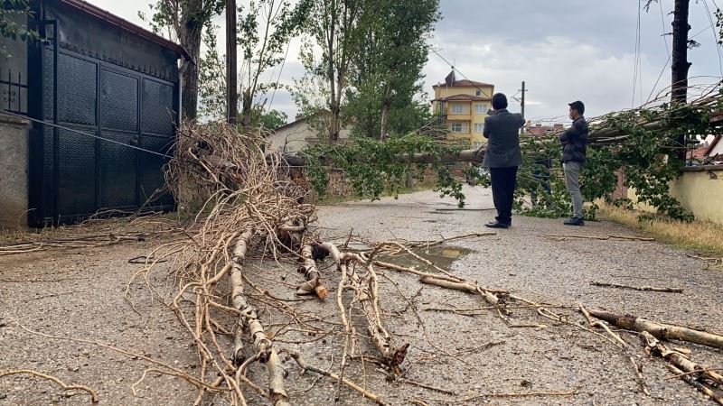 Şiddetli rüzgar ağacı devirdi, elektrik ve iletişim hatlarını kopardı
