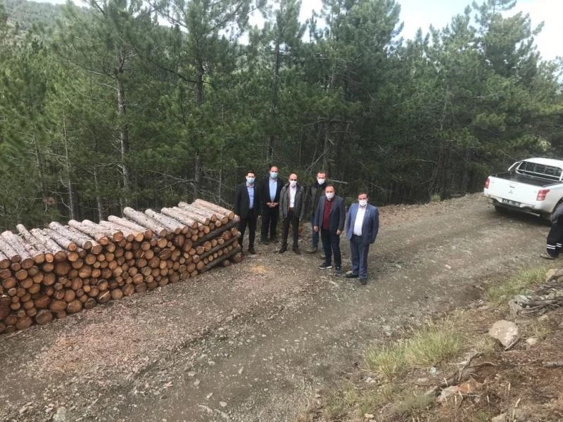 Altıntaş’ta orman gençleştirme çalışmaları
